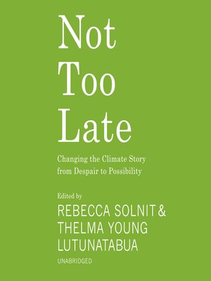 Not Too Late - Audiobook